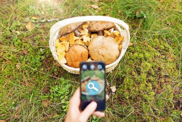 A close-up view of a Lords Mobile resource gathering screen, showing different resource types like food, stone, wood, ore, and gold, with various gatherers in action.